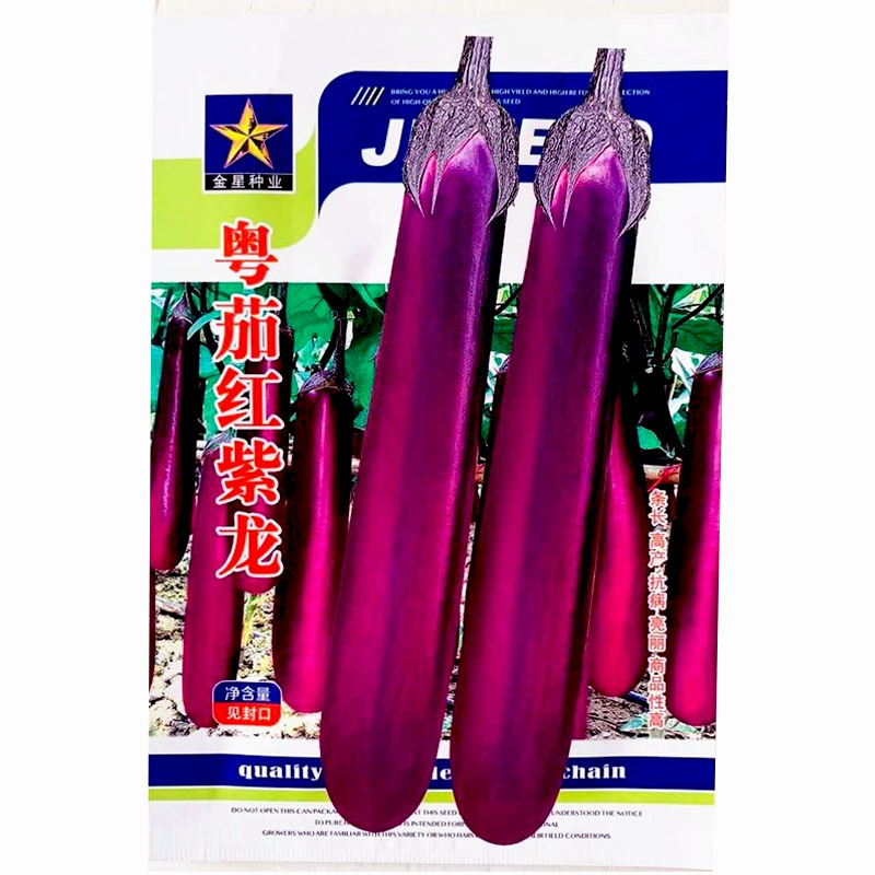 粤茄红紫龙紫红长茄种子早熟高产抗病抗逆耐贮运