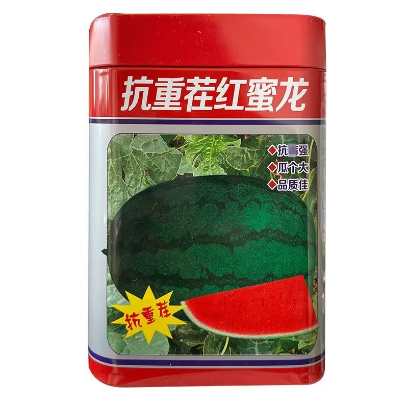 抗重茬红蜜龙西瓜种子大果花皮懒汉西瓜种子细嫩多汁