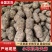 云南昭通鲜天麻小草坝天麻质量保障一件可发包邮
