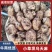 云南昭通小草坝乌天麻鲜天麻产地直发欢迎联系