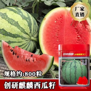 创研麒麟西瓜种子冰糖麒麟王西瓜种子质脆味甜