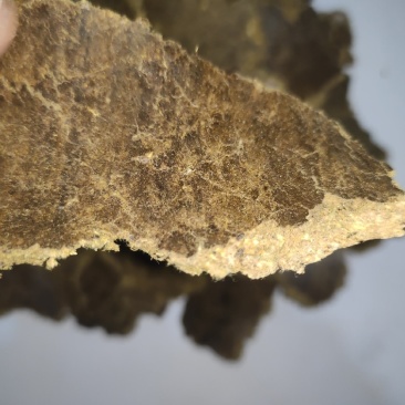 【推荐】棉籽饼产地直发价格美丽规格齐整饲料肥料皆可