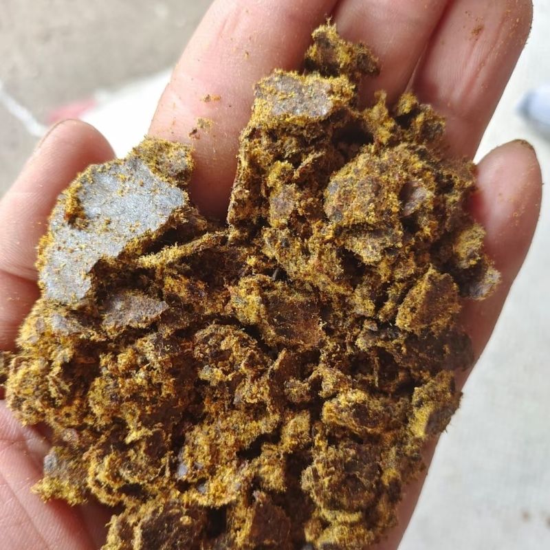 【热卖】棉籽饼保质保量价格美丽规格齐整饲料肥料皆可