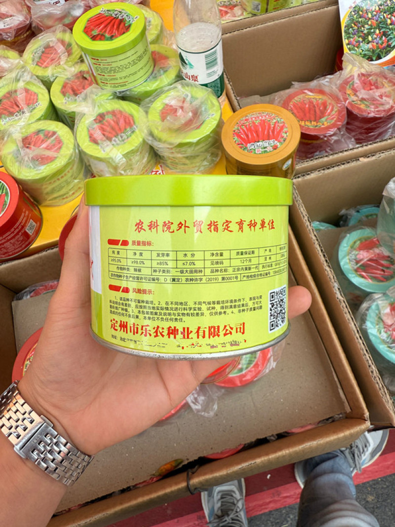 内黄新一代朝天椒种子一代朝天椒原种高辣簇生型