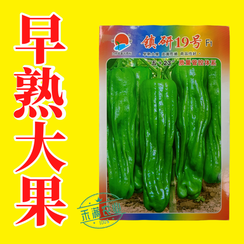 畅销马嘴型薄皮辣椒种子泡椒菜椒搞病高产青椒种籽薄皮脆嫩