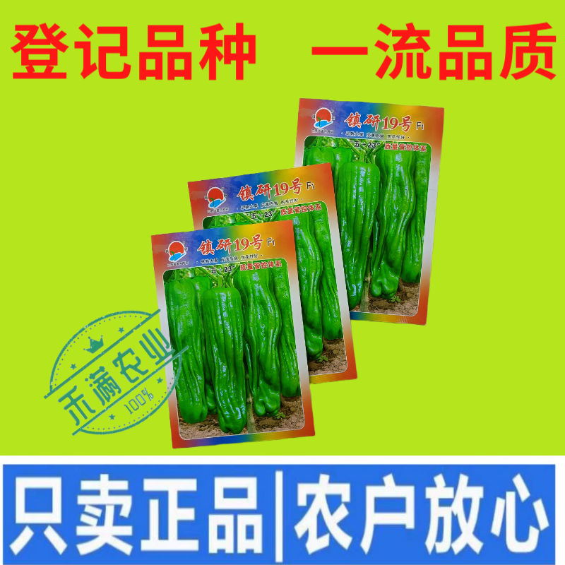 畅销马嘴型薄皮辣椒种子泡椒菜椒搞病高产青椒种籽薄皮脆嫩