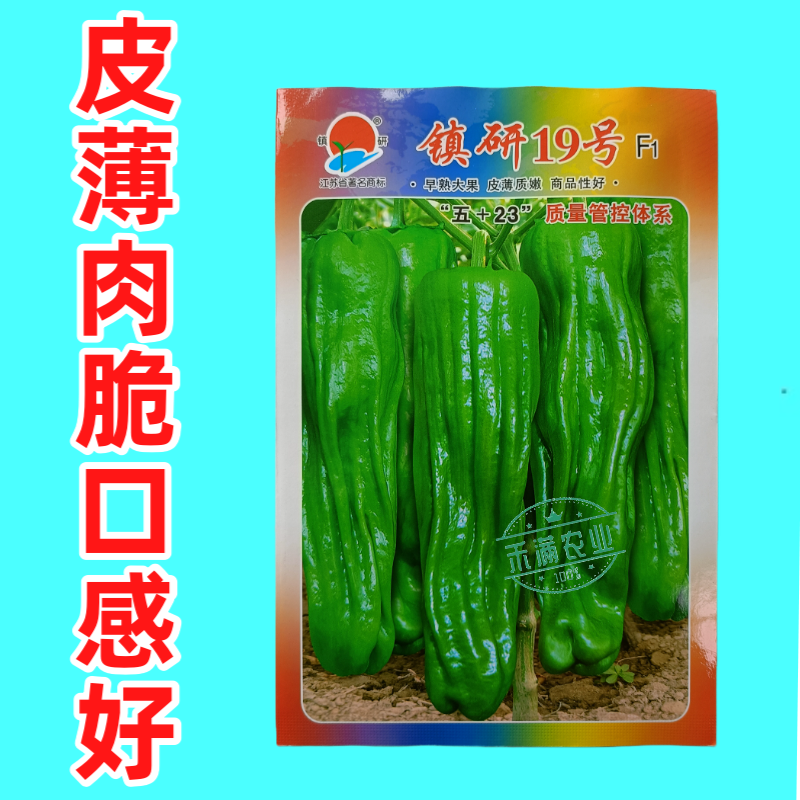 畅销马嘴型薄皮辣椒种子泡椒菜椒搞病高产青椒种籽薄皮脆嫩