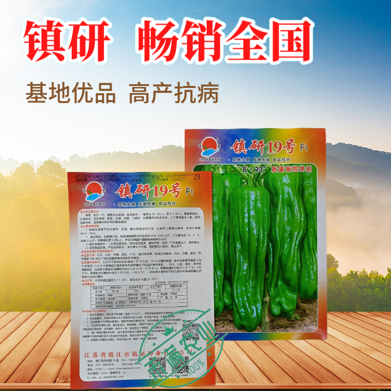畅销马嘴型薄皮辣椒种子泡椒菜椒搞病高产青椒种籽薄皮脆嫩