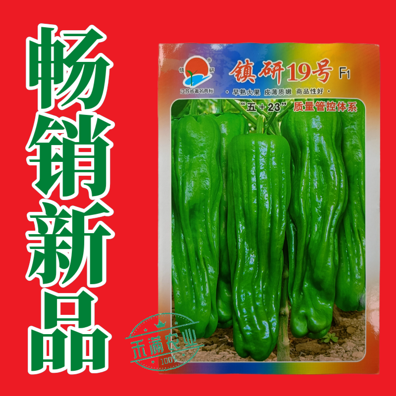 畅销马嘴型薄皮辣椒种子泡椒菜椒搞病高产青椒种籽薄皮脆嫩