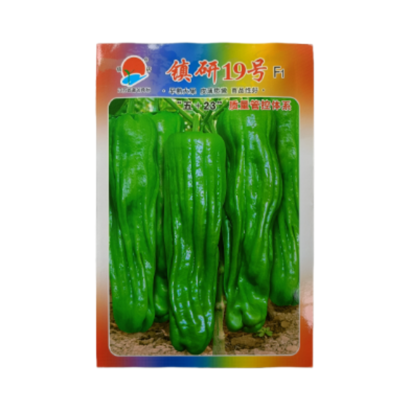 畅销马嘴型薄皮辣椒种子泡椒菜椒搞病高产青椒种籽薄皮脆嫩