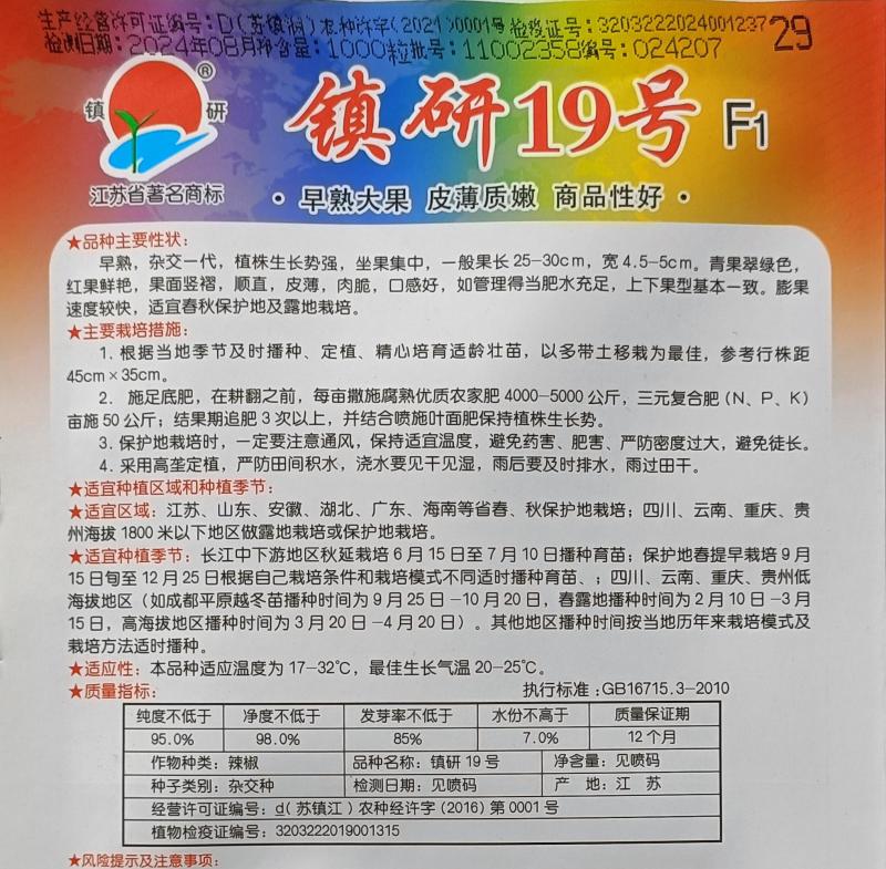 畅销马嘴型薄皮辣椒种子泡椒菜椒搞病高产青椒种籽薄皮脆嫩