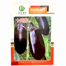 特大牛心茄十吨茄种子果实大早熟紫皮籽少紫茄大罐