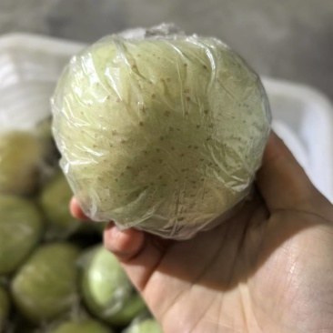王林苹果（热卖中）大量现货供应，规格齐全，可视频看货