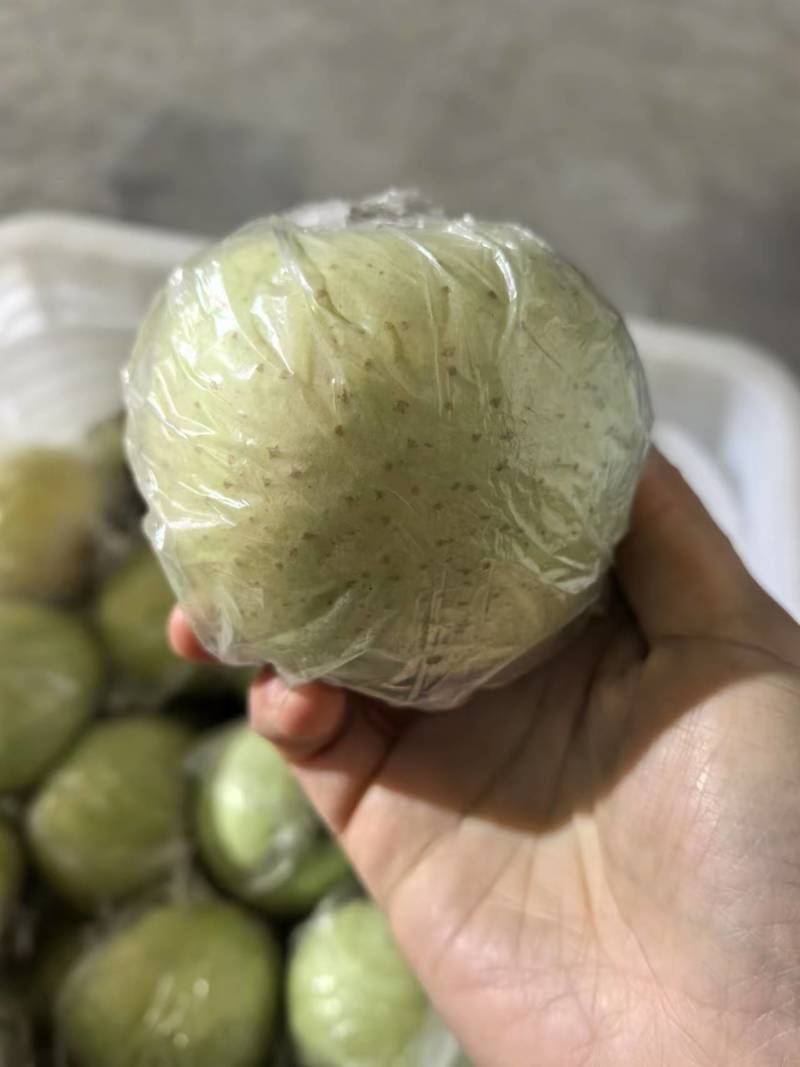 王林苹果（热卖中）大量现货供应，规格齐全，可视频看货