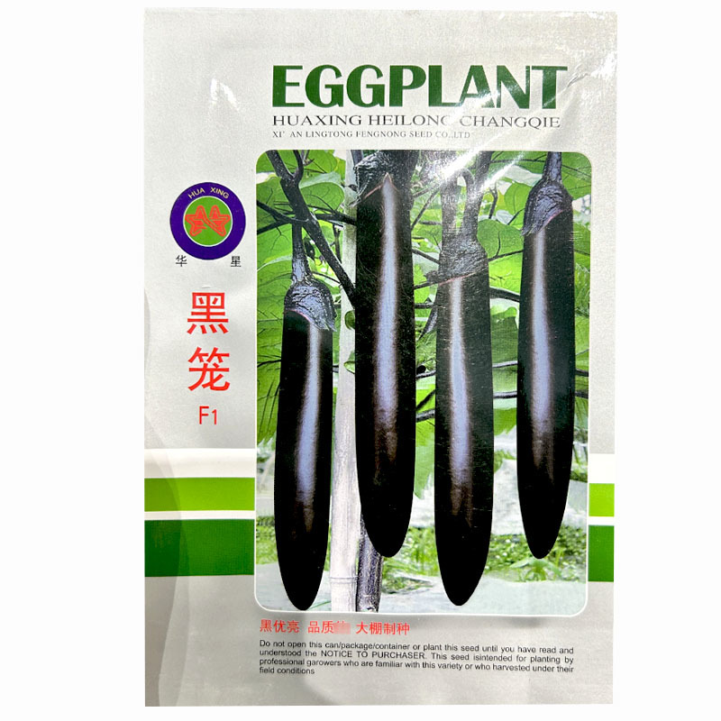 黑笼黑长茄种子早熟顺直黑亮茄嫁接早熟高产大棚蔬菜原种