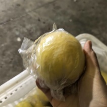 瑞雪苹果产地一手货源规格齐全，可视频看货，代发全国