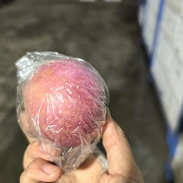 瑞香红苹果河北苹果规格齐全，大量供应可视频看货代发全国