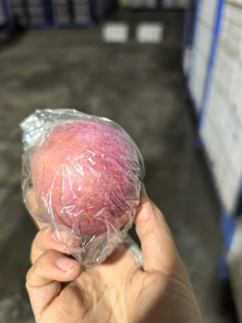 瑞香红苹果河北苹果规格齐全，大量供应可视频看货代发全国
