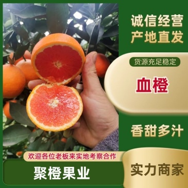 湖北血橙橙子产地一手货源，现摘现发规格齐全，可视频看货