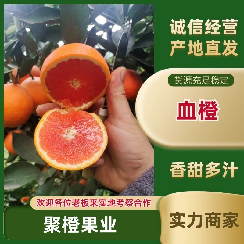 湖北血橙橙子产地一手货源，现摘现发规格齐全，可视频看货