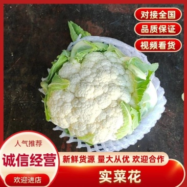 白面青梗菜花小米粒松花菜，货源充足，保质保量，欢迎来电