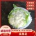 白面青梗菜花小米粒松花菜，货源充足，保质保量，欢迎来电