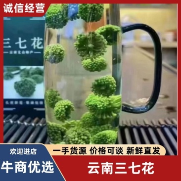 云南三七花精品一手好货按需供货欢迎咨询看货