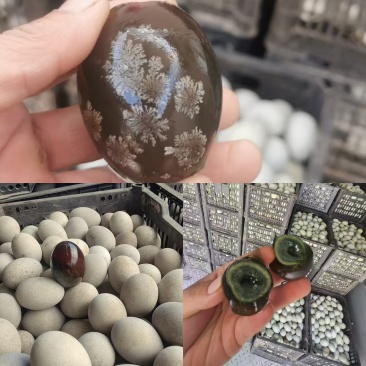 山东松花蛋精品无铅松花蛋品质保证量大从优欢迎联系