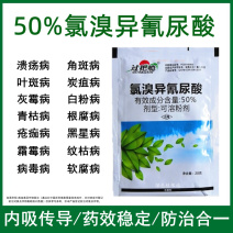 50%氯溴异氰尿酸软腐病霜霉病疫病野火病姜瘟病土壤消毒杀