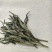 贡菜头铁锅炖菜食材产地直发一手货源长期供应