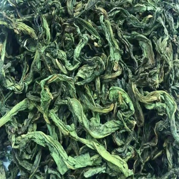 贡菜叶包子馅咋面条配菜产地直发长期供应