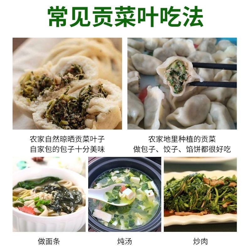 贡菜叶包子馅咋面条配菜产地直发长期供应