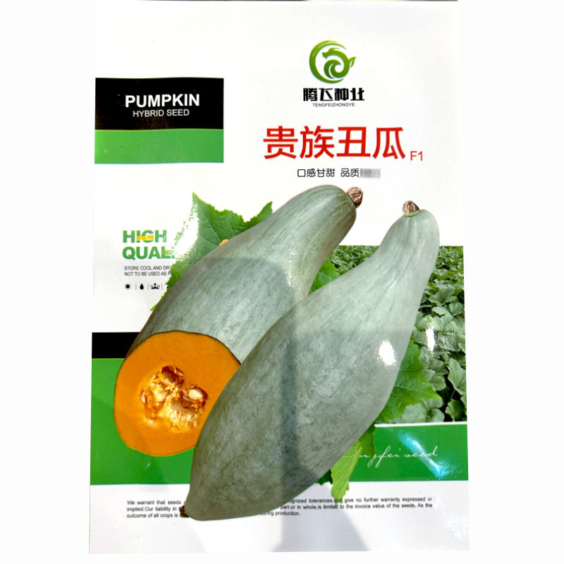 贵族丑瓜种子金丝板栗南瓜种子早熟春秋季播
