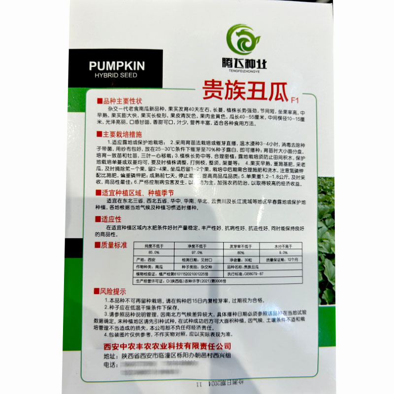 贵族丑瓜种子金丝板栗南瓜种子早熟春秋季播