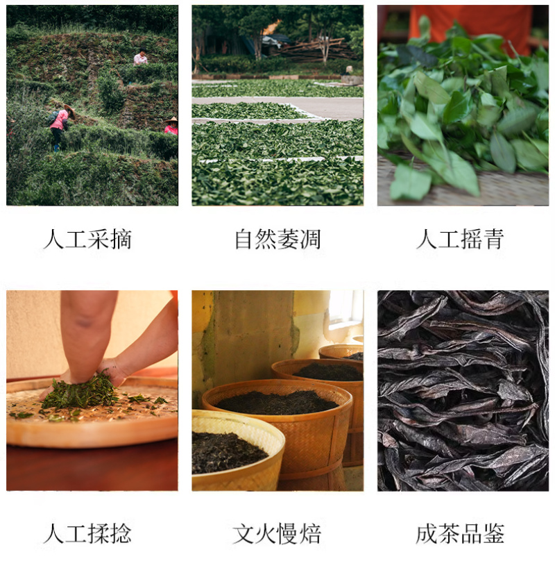 正岩岩茶老枞水仙正岩坑涧茶叶250克罐装善颖家茶
