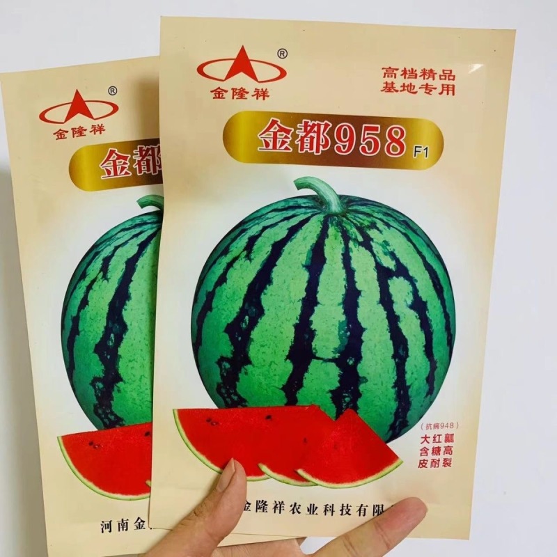 金都958西瓜种子大红瓤耐裂含糖度高