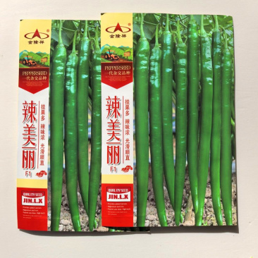 辣美丽长线椒种子挂果多辣味浓光滑顺直干鲜两用