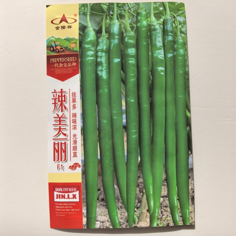 辣美丽长线椒种子挂果多辣味浓光滑顺直干鲜两用