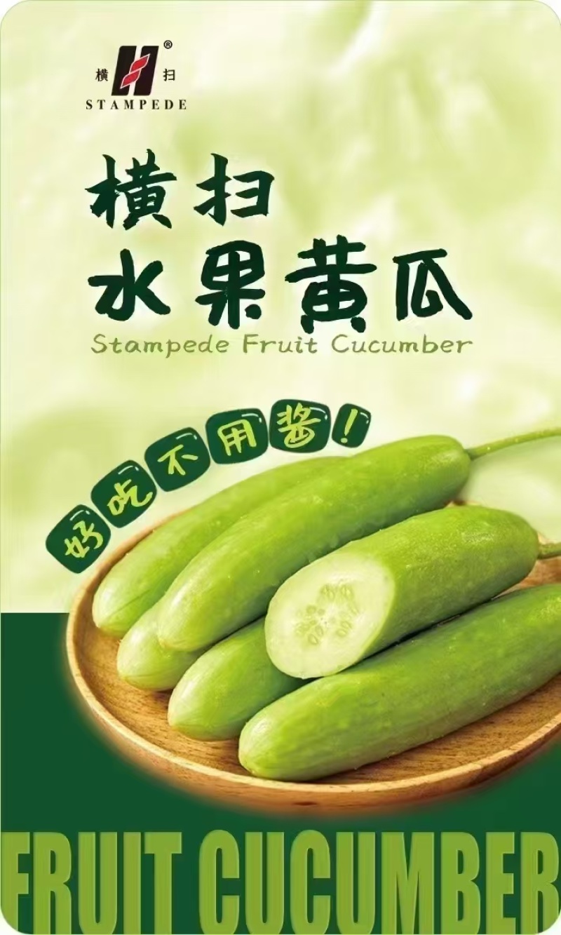 供应横扫水果黄瓜种苗白黄瓜苗