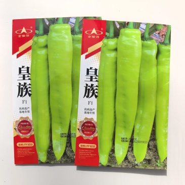 皇族羊角椒种子早熟杂交果实光滑顺直中辣抗TMV病毒