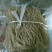 【红薯粉条】安徽粉条纯红薯粉条自产自销品质好全国发货
