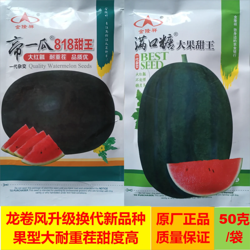 满口糖大果甜王西瓜种子耐重茬大红瓤皮薄而韧