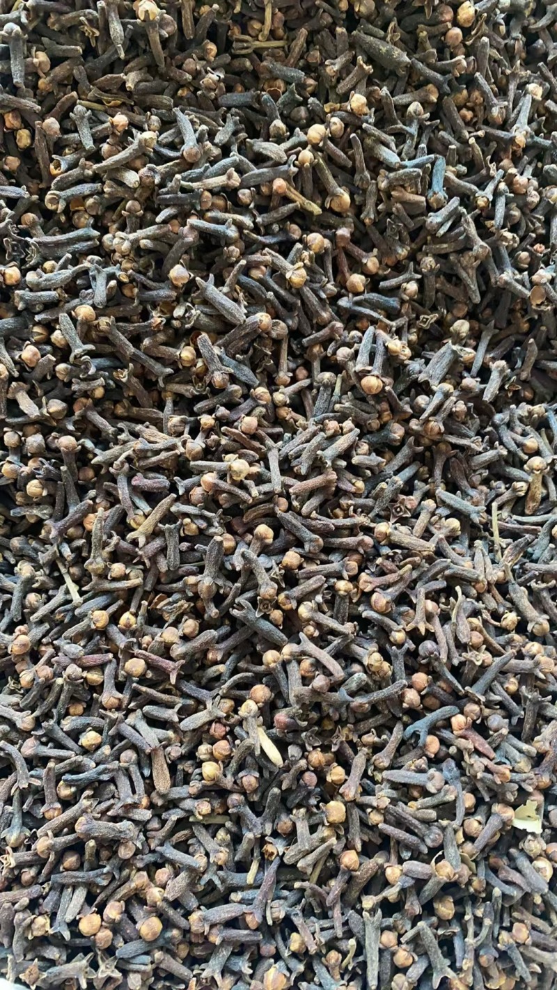 丁香香料颜色好质量保证