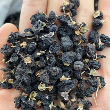 黑枸杞花茶类产品实拍