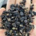 黑枸杞花茶类产品实拍