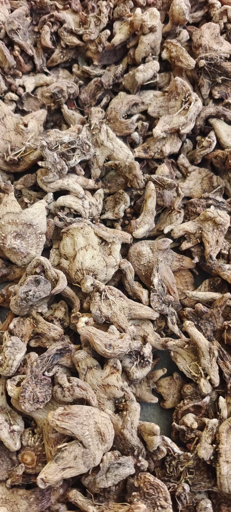 白芨正品保障随时有货产地直发品质优良