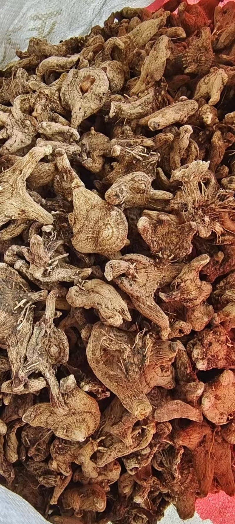 白芨正品保障随时有货产地直发品质优良