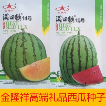 满口糖15号礼品西瓜种子彩虹西瓜种子抗病耐湿耐低温