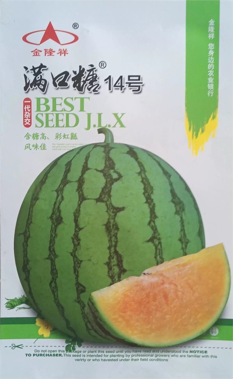 满口糖15号礼品西瓜种子彩虹西瓜种子抗病耐湿耐低温