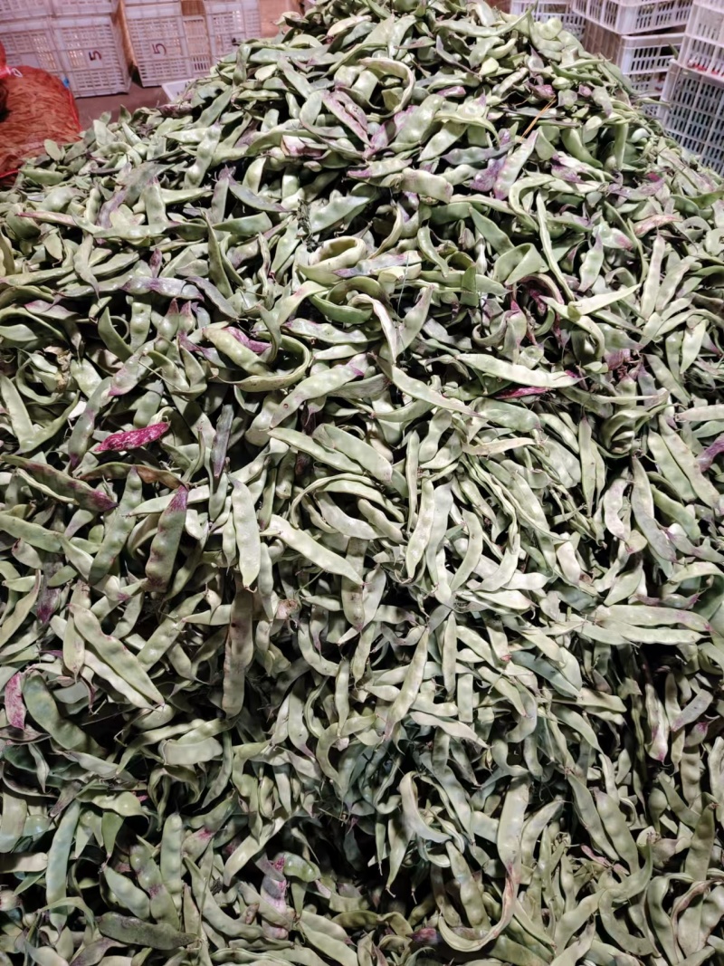 精品油豆角一点红油豆角产地发货对接电商市场超市